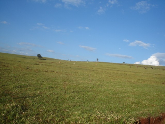 Foto 1 - Vendo fazendas em varias regiões do brasil
